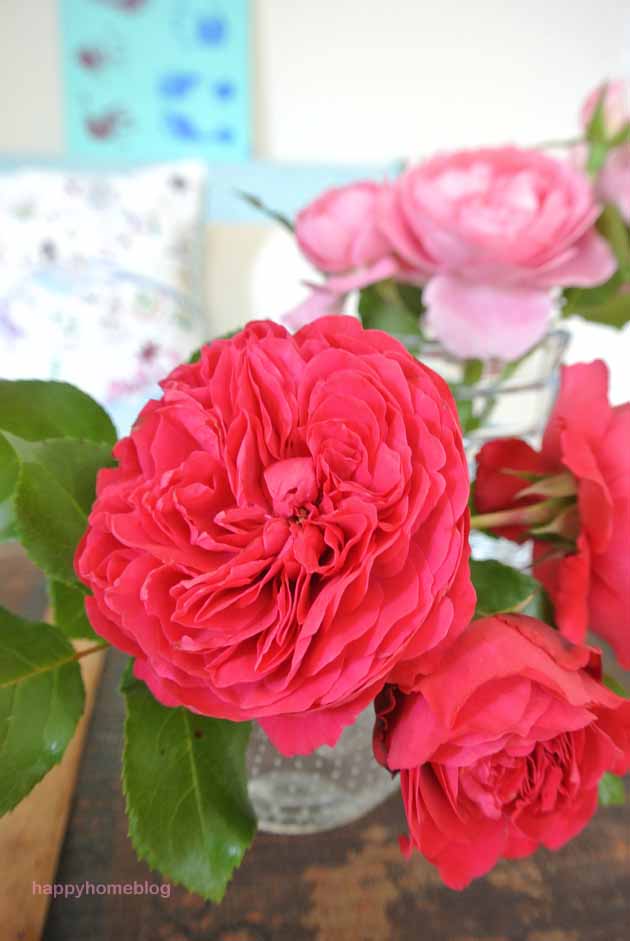 #2Flowergirls Rosen aus dem Garten in pink und rosa happyhomeblog