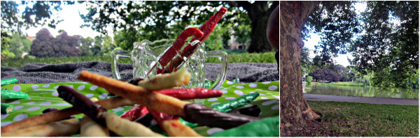 Frau Bunt kocht im happyhomeblog gebackenes Mikado Picknick fuer Kinder 