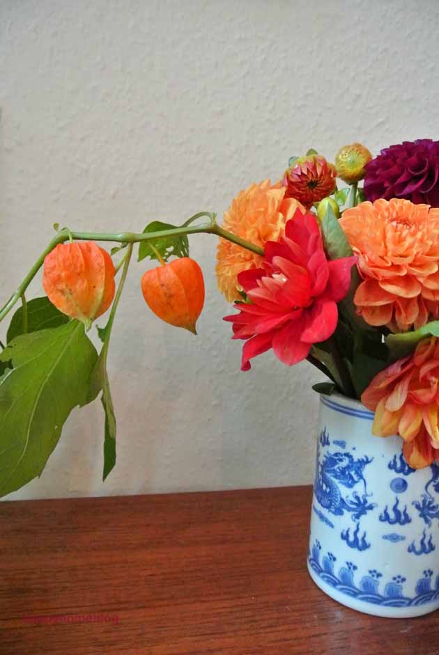 #2flowergirls Dahlien mit Lampionblume im Oktober in chinesischer Vase by happy Home Blog