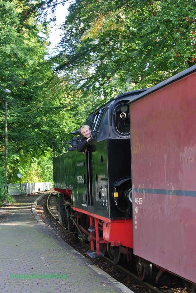 Dampflokomotive Molli von Heiligendamm nach Kühlungsborn happyhomeblog