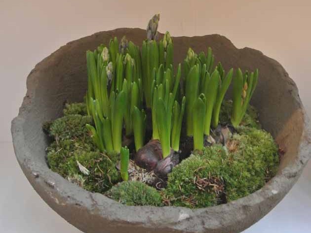 Bepflanzte Schale von Serax Ambiente Messe Trends 2014 by happyhomeblog