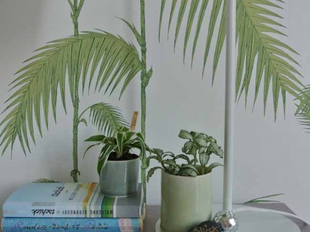 Pflanzen im Schlafzimmer ich bin ein Urban Jungle Blogger und kann nicht mehr ohne Grünpflanzen